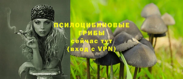 амф Коряжма