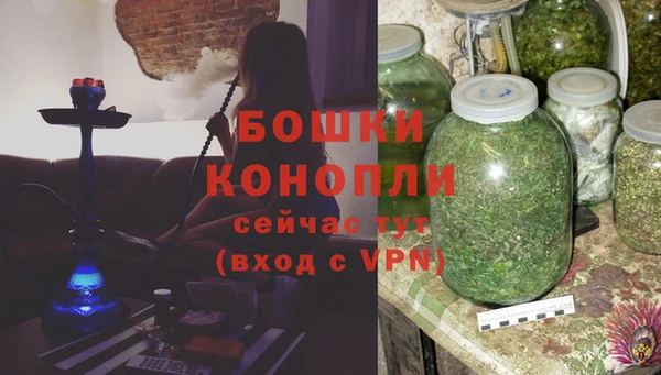 амф Коряжма