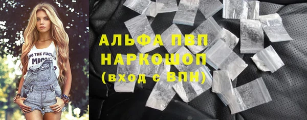 амф Коряжма