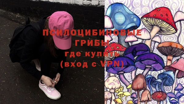 винт Корсаков