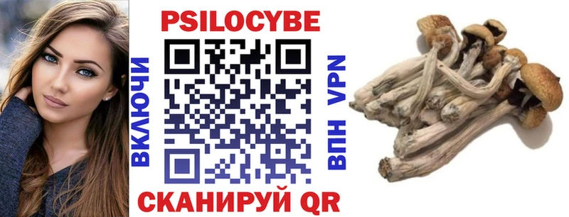 Псилоцибиновые грибы прущие грибы  Кызыл 